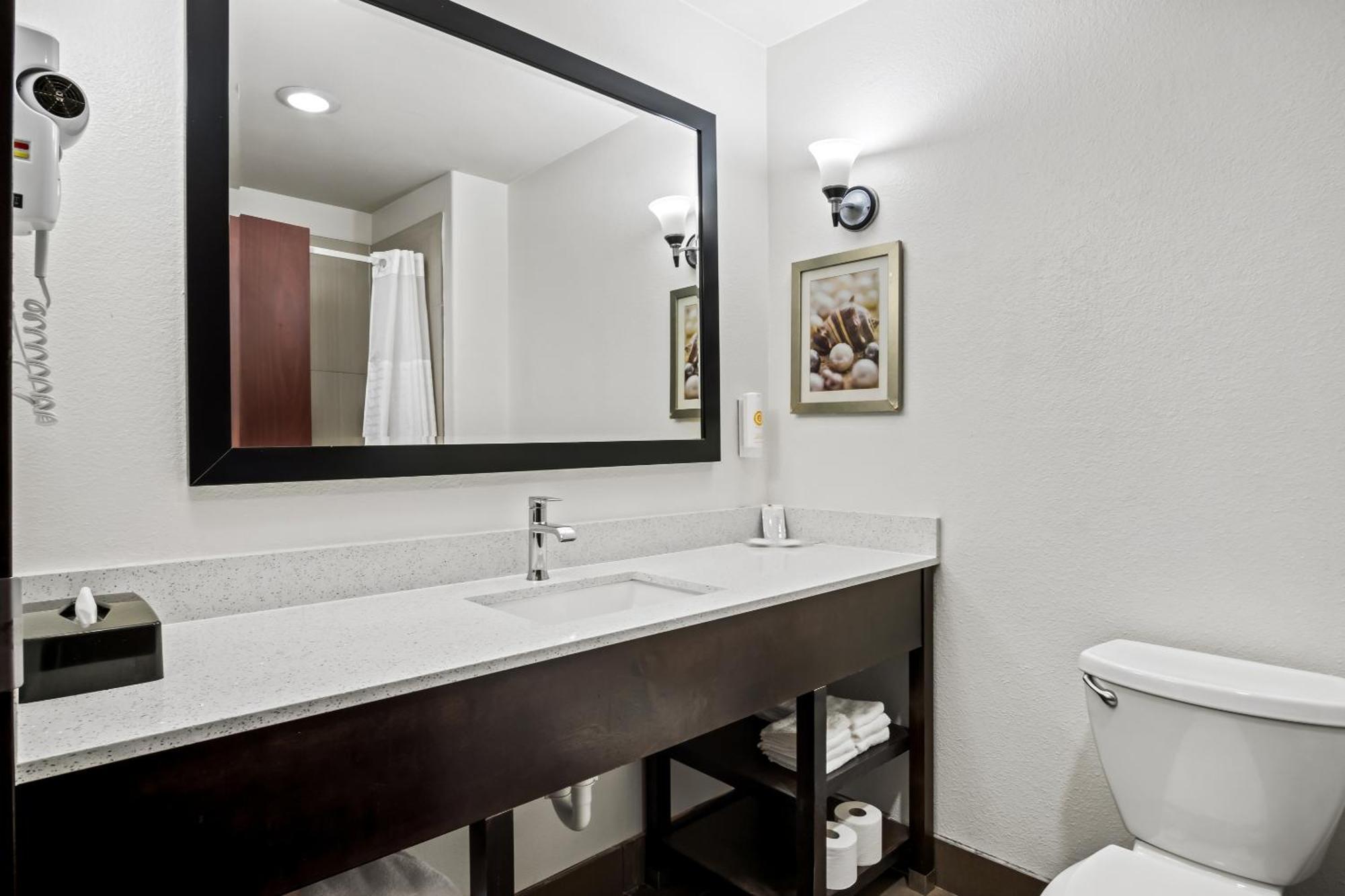 Comfort Suites Waxahachie - Dallas Rum bild